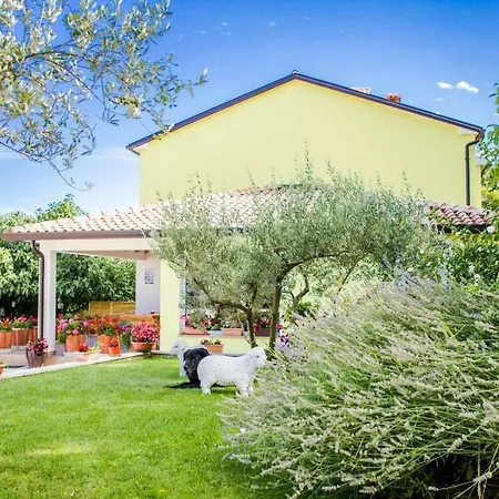 House Stara Vrata With A Private Pool בית נופש Žminj